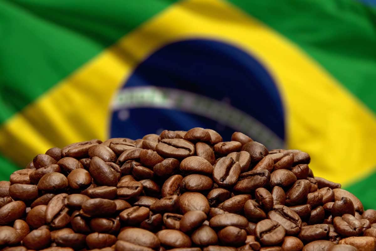 Brazilian coffee beans and coffee plantation landscape